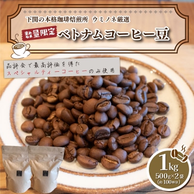 【豆】 訳あり コーヒー豆 1kg ( 500g × 2袋 ) ベトナム EW145-A