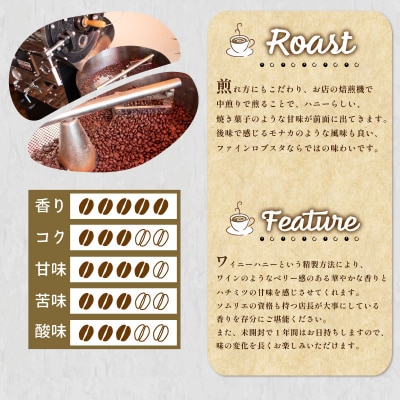 【豆】 訳あり コーヒー豆 1kg ( 500g × 2袋 ) ベトナム EW145-A