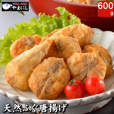 ふぐ 唐揚げ セット 600g 下関 山口 AU201-NT
