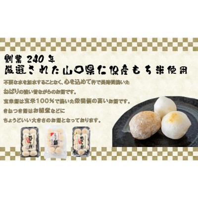【 期間限定 】ねばり 餅 セット 2.5kg HS007