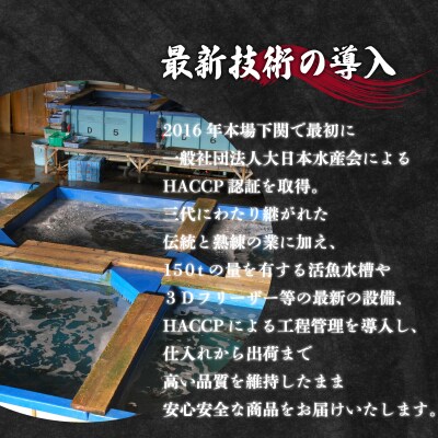 とらふぐ鍋セット(2～3人前) ID005