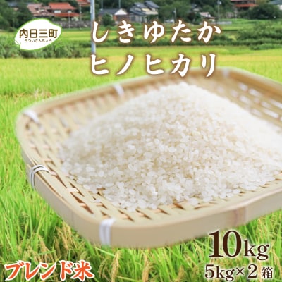 令和7年産 Wブレンド米10kg (5kg×2袋) 山口県産 《内日三町:DZ021》