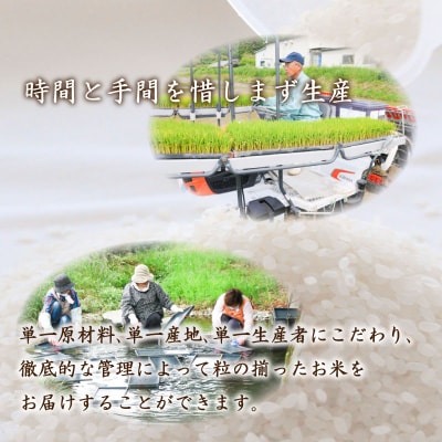 令和7年産 Wブレンド米10kg (5kg×2袋) 山口県産 《内日三町:DZ021》