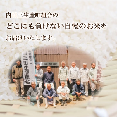 令和7年産 Wブレンド米10kg (5kg×2袋) 山口県産 《内日三町:DZ021》