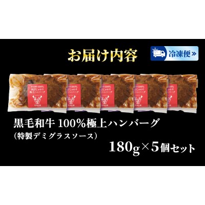  ハンバーグ 180g × 5個 900g 国産 黒毛和牛 100% HW002