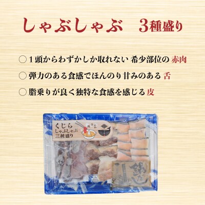 鯨三昧セット くじら しゃぶしゃぶ 竜田揚げ タン 詰め合わせ AS153