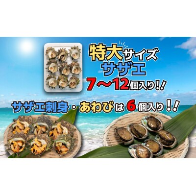 サザエ サザエ刺身 あわび セット 冷凍 スチーム加工 FK002_1