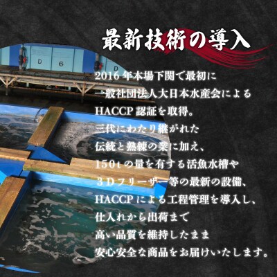 天然とらふぐ刺身セット 5～6人前 冷凍 180g ID010