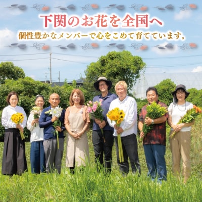 お花の定期便 (花束) 毎月1回×3回分 GI002