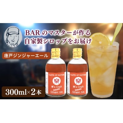 クラフトシロップ ジンジャーエール 2本 セット 炭酸 飲料 下関 JJ002-2