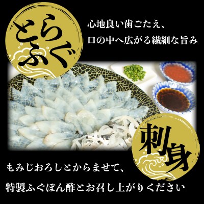 とらふぐ 刺身 鍋 一汐干し 皮 ふぐ まふぐ 2人前 AU422-x
