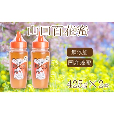 はちみつ 国産 蜂蜜 850g ( 425g×2 ) 国産100% ES001-NT