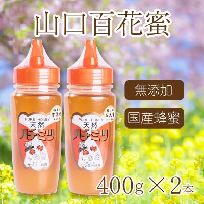 はちみつ 国産 蜂蜜 800g(400g×2本) 国産100% ES001