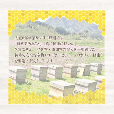 はちみつ 国産 蜂蜜 800g(400g×2本) 国産100% ES001