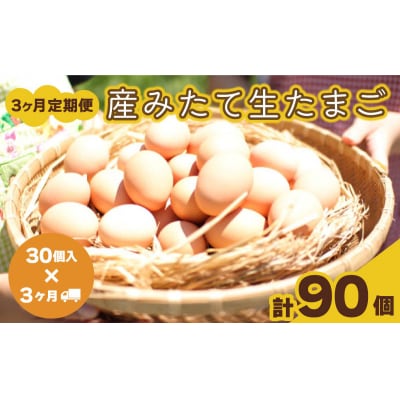 【定期便3ヶ月】産みたて 生たまご 30個×3ヶ月 BQ103_NT
