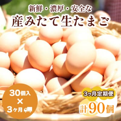 【定期便3ヶ月】産みたて 生たまご 30個×3ヶ月 BQ103_NT