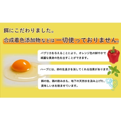 【定期便3ヶ月】産みたて 生たまご 30個×3ヶ月 BQ103_NT