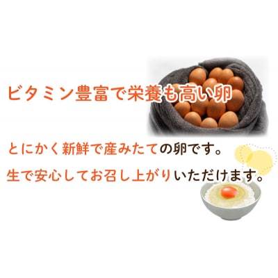 【定期便3ヶ月】産みたて 生たまご 30個×3ヶ月 BQ103_NT