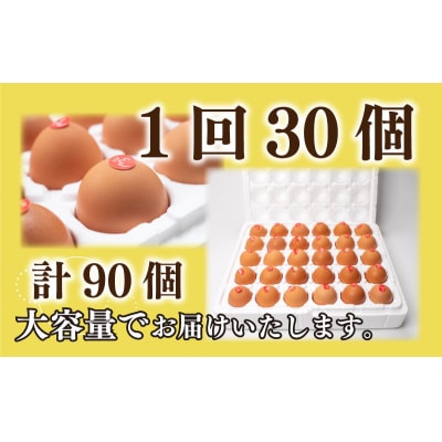 【定期便3ヶ月】産みたて 生たまご 30個×3ヶ月 BQ103_NT