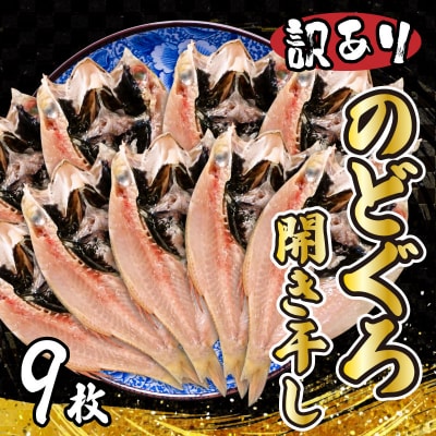 訳あり のどぐろ 開き干し 9枚 下関 高級魚 小サイズ AU304-NT