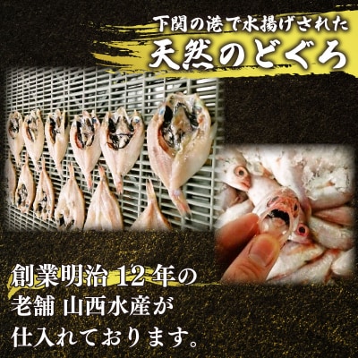 訳あり のどぐろ 開き干し 9枚 下関 高級魚 小サイズ AU304-NT