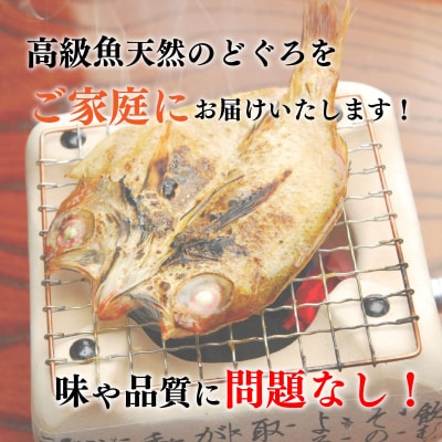 訳あり のどぐろ 開き干し 9枚 下関 高級魚 小サイズ AU304-NT