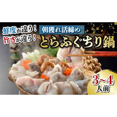 朝獲れ活締め! とらふぐ ちり鍋 ふぐ皮とヒレ付き てっちり 下関 山口FG016