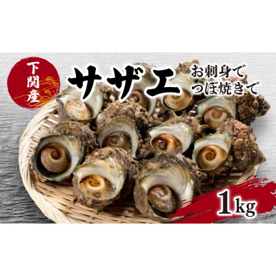 サザエ 1kg 冷凍 下関 EY003