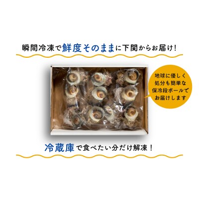 サザエ 1kg 冷凍 下関 EY003