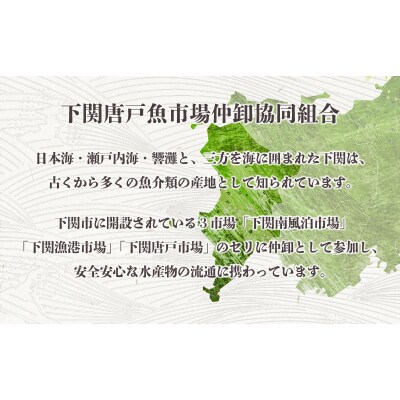 サザエ 1kg 冷凍 下関 EY003