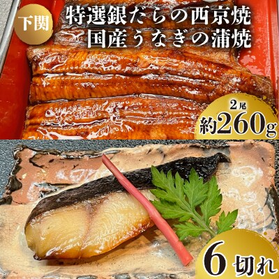 国産 うなぎ の 蒲焼 2尾 約260g 特選 銀だら の 西京焼 6切れ セット 冷凍 JA007