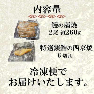 国産 うなぎ の 蒲焼 2尾 約260g 特選 銀だら の 西京焼 6切れ セット 冷凍 JA007