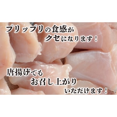 ふぐ ちり 400g 3人前 セット FG008