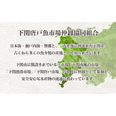 のどぐろ 中 サイズ 4尾 高級 魚 鮮魚 冷凍 アカムツ 下処理 済 下関 EY002_1