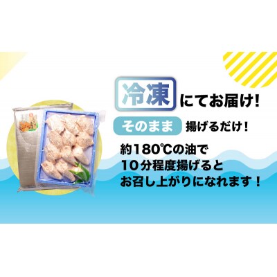 真ふぐ 唐揚げ 500g CF106