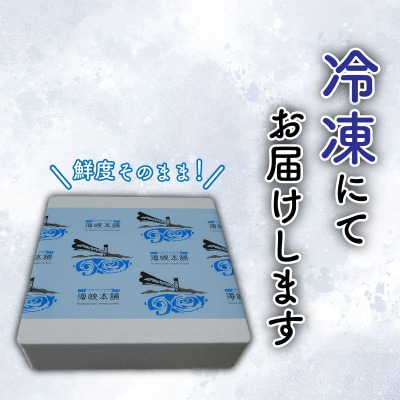 あんこう鍋セット500g(約2〜3人前) FP011