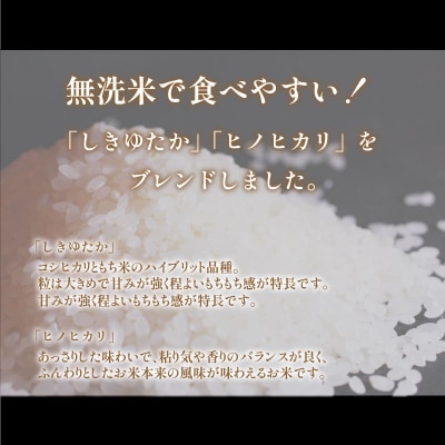 【定期便】 Wブレンド米 10kg 隔月3回 (合計30kg) DZ8016-x
