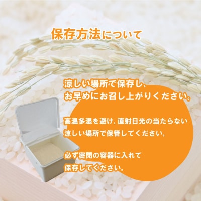 【定期便】 Wブレンド米 10kg 隔月3回 (合計30kg) DZ8016-x
