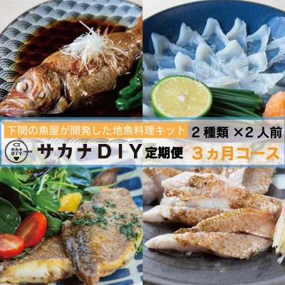 【定期便3ヶ月】 サカナDIY 2人前 2種&times;3ヶ月 冷凍 真空 鮮魚 魚料理キット CX205