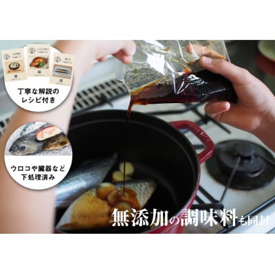 【定期便3ヶ月】 サカナDIY 2人前 2種×3ヶ月 冷凍 真空 鮮魚 魚料理キット CX205