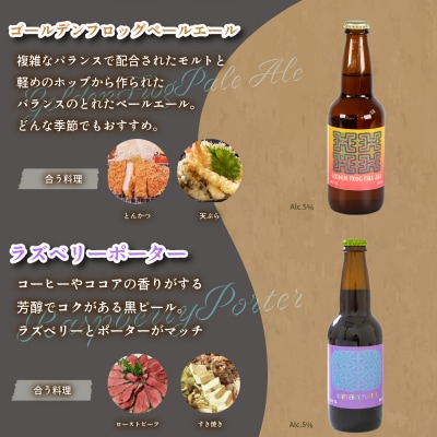 クラフトビール 330ml × 12本 飲み比べ セット EW143