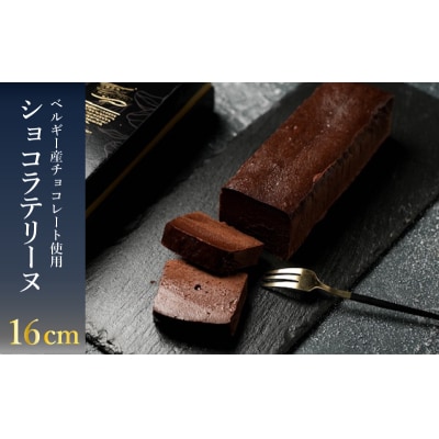 テリーヌショコラ 1本(16cm / 500g) ベルギーショコラ 冷凍 EN201