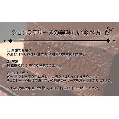 テリーヌショコラ 1本(16cm / 500g) ベルギーショコラ 冷凍 EN201