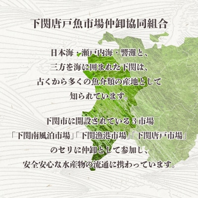 あんこう 鮟鱇 唐揚げ 揚げ 高級 魚 冷凍 500g 揚げるだけ 簡単 山口 下関 EY005