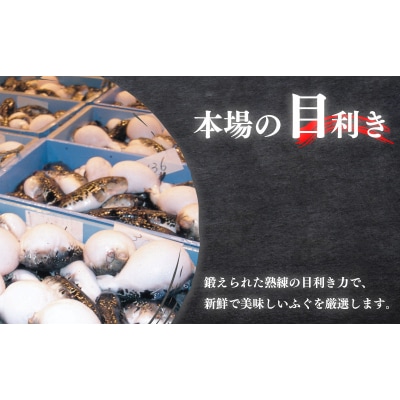 冷蔵 とらふぐ鍋 セット 2~3人前 ふぐ松前付 冷蔵 下関 山口 ふぐ特集 秋 冬 KA0006