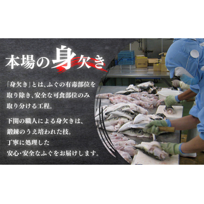 冷蔵 とらふぐ鍋 セット 2~3人前 ふぐ松前付 冷蔵 下関 山口 ふぐ特集 秋 冬 KA0006