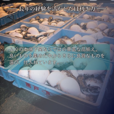 ふぐ料理セット ふぐ刺し 皮 ちり鍋 ひれ 冷凍 てっさ てっちり フグ 本場 AQ205