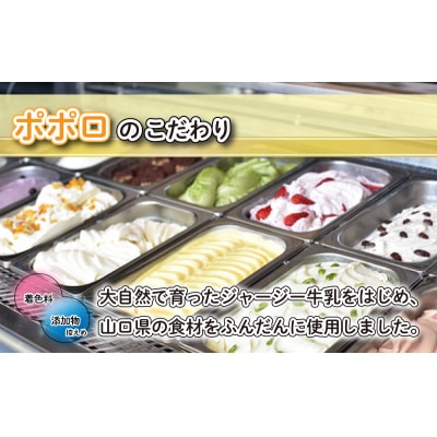 アイスクリーム アイス ジェラート 6種 18個 セット EZ03-NT