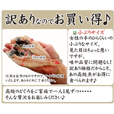 下関産高級魚 のどぐろ開き干し  6枚詰め 冷凍 AU222-NT-x