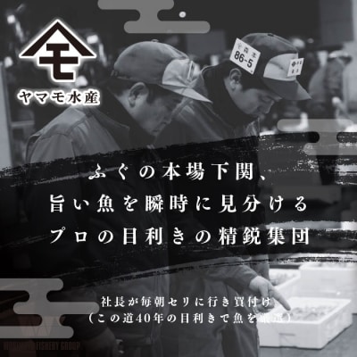 ふぐ刺身セット 6人前 120g 冷凍 下関 山口 ヤマモ水産 FR063